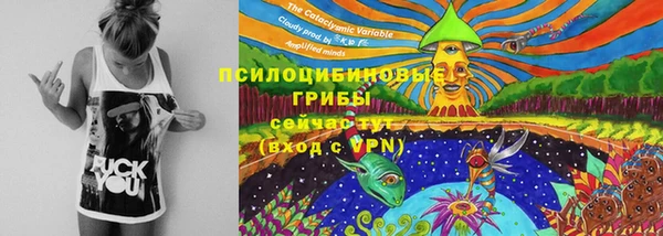 apvp Арсеньев