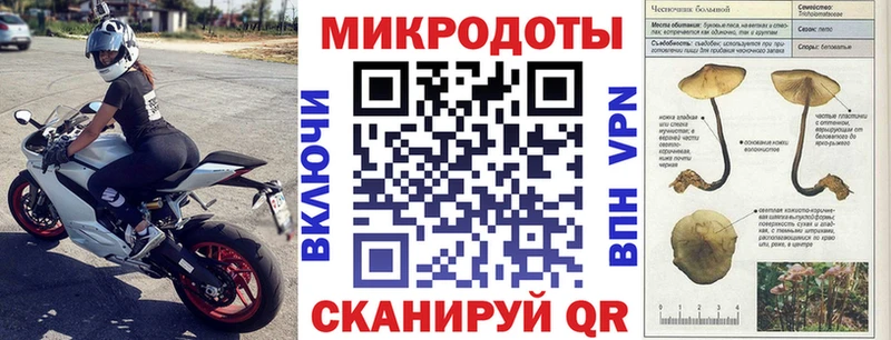 купить наркотик  Бодайбо  кракен ТОР  Галлюциногенные грибы мицелий 