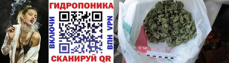 Каннабис SATIVA & INDICA  наркошоп  Бодайбо 